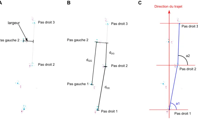 Figure 8 - Schémas explicatifs pour l’analyse de la démarche.  