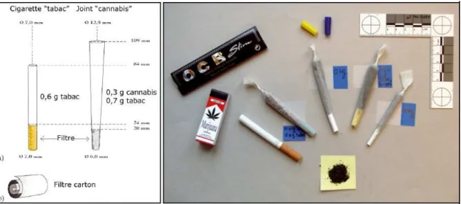 Figure  3 :  Quelques  exemples  de  joints  typiques  de  taille  variable  préparés  avec  du  cannabis  pur  ou  un  «  mix  »  cannabis-tabac