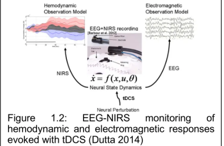 Figure  1.2:  EEG-NIRS  monitoring  of  hemodynamic  and  electromagnetic  responses  evoked with tDCS (Dutta 2014) 