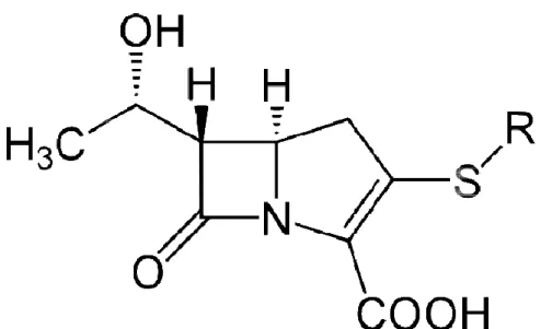 Figure 1. Squelette de base des carbapénèmes 