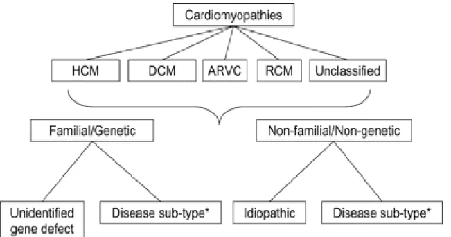 Figure n°5 : la nouvelle classification des cardiomyopathies proposée par la ESC en  2007