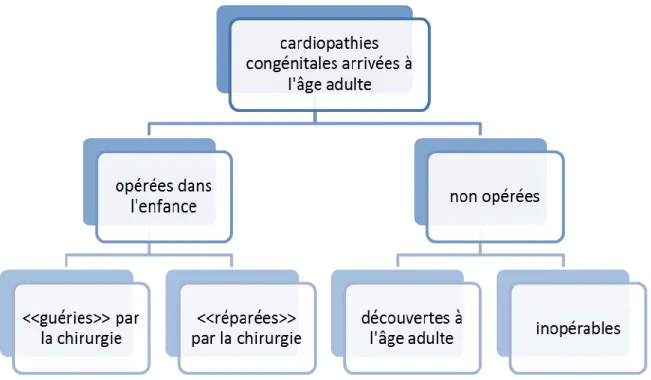 Figure 2: Classification des cardiopathies congénitales arrivées à l'âge adulte 