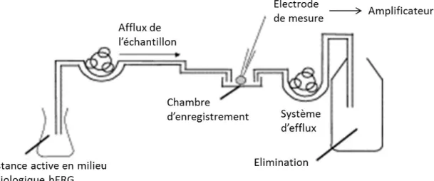 Figure 4 : Schéma du système de perfusion utilisé dans les études hERG 