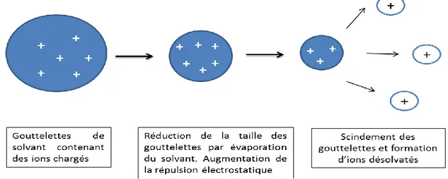 Figure 13 : Principe de l’ionisation électrospray (ESI) et formation d’ions désolvatés  [D’après Monégier, 1997 ; Rouessac et Rouessac, 2009] 