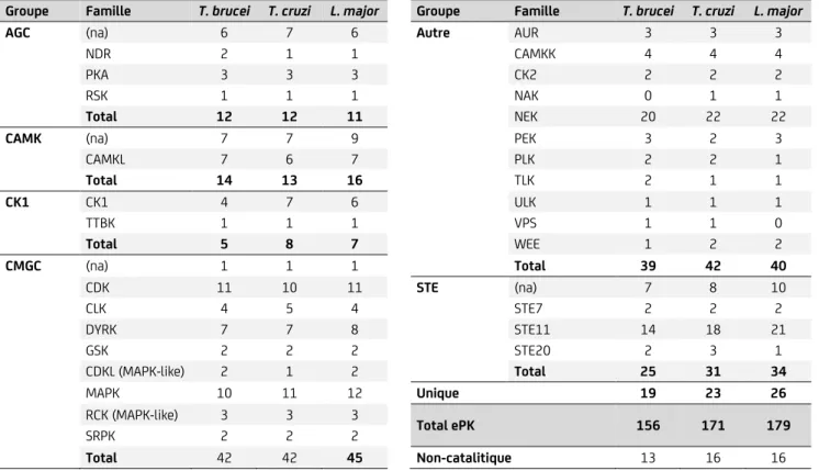 Tableau II : Groupes et familles des ePKs dans les trypanosomatidés (Parsons et al., 2005)