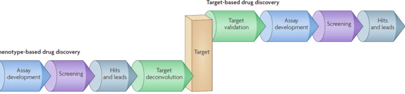 Figure 12. Les approches phénotypiques et ciblées pour la découverte de médicaments 