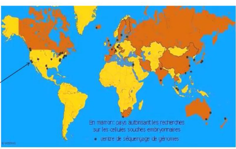 Figure  44:  Pays  autorisant  la  recherche  sur  les  cellules  souche  embryonnaires 