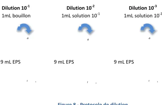 Figure   8   -­‐   Protocole   de   dilution       