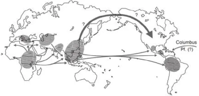 Figure 2: Route probable de propagation du paludisme.