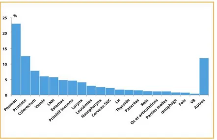 Figure 10: Les localisations les plus fréquentes chez l’homme, registre des cancers du  grand Casablanca 2008 – 2012 [13] 