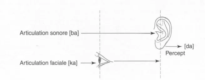 Figure 1 : L’effet McGurk (Calbour, Dumont, 2002). 