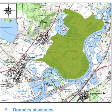 Figure 6 : Carte de localisation de la ZNIEFF de type 1 : Zones humides de Cattenom et Prairies à  Grand Pigamon de la Vallée de la Moselle (Source Carmen) 