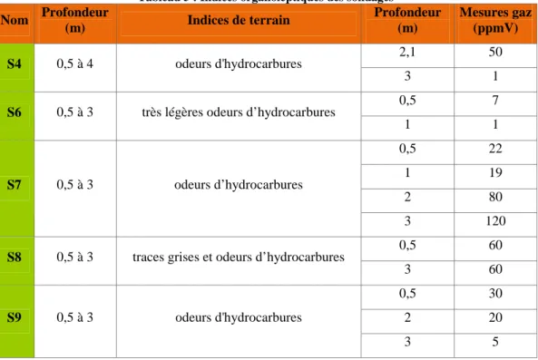 Tableau 6 : Indices organoleptiques des piézomètres 