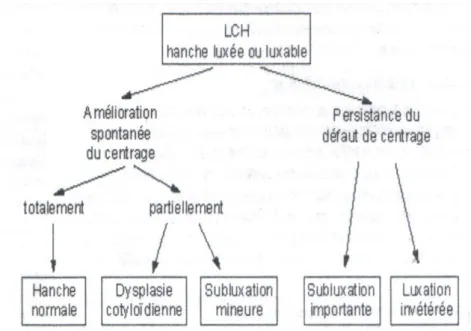Figure 10: Histoire naturelle de la LCH [11] 