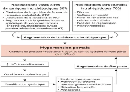 Fig 4: schéma illustrant la physiopathologie de l’HTP 