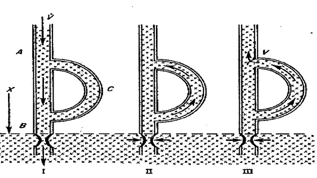 Figure 6 : Représentation schématique de l’expérience du tube   en D de Henderson et Johnson 