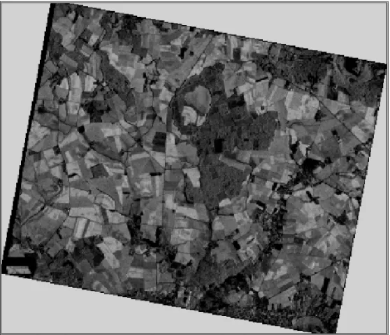 Figure 12. Image TerraSAR-acquise le 17 mars en polarisation HH                    et avec une incidence de 26°