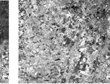 Figure 5.6. The grey-scale images with the clouds present in top-right corner before (left) and after (right)  smoothing 