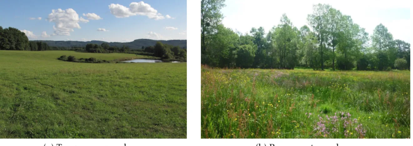 Figure 1: Example of meadows.