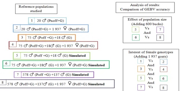 Figure  9.  Scheme  of  cases  studied  for  analysis  of  goat  genomic  selection  results  wher signify that animals are phenotyped (Poff with official evaluation on 2.8 millions of animals  and  Pnoff  with  2 246  females)  and  G  that  animals  are 