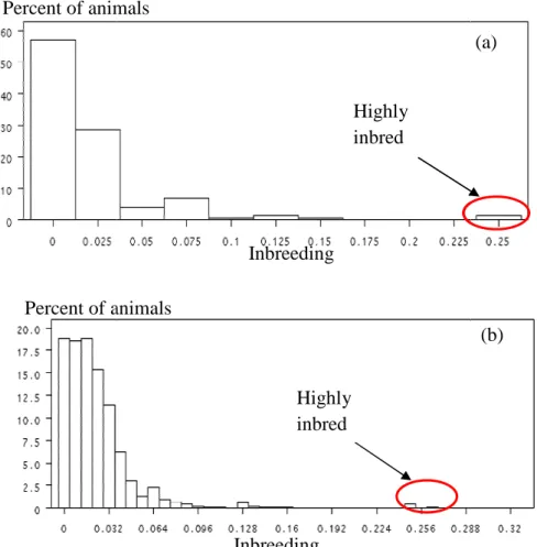 Figure 11. Distribution of inbreeding coefficient for pedigree file of IA bucks genotyped (a)  and of their daughters (b) 
