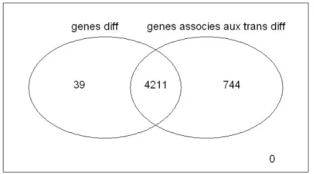 Figure 19 : Diagramme de Venn pour les gènes différentiels et les gènes associés aux transcritps différentiels de  porc par edgeR 