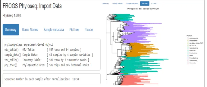 Figure 9: capture d’écran du 1er onglet du rapport html délivré par l’outil FROGS Phyloseq Import Data 