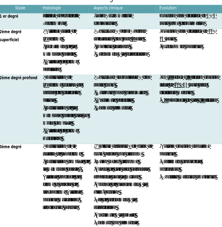 Tableau I : Récapitulatif des caractéristiques histologiques et cliniques   avec le pronostic des différents degrés de la brûlure (SFETB 2006) (17) 