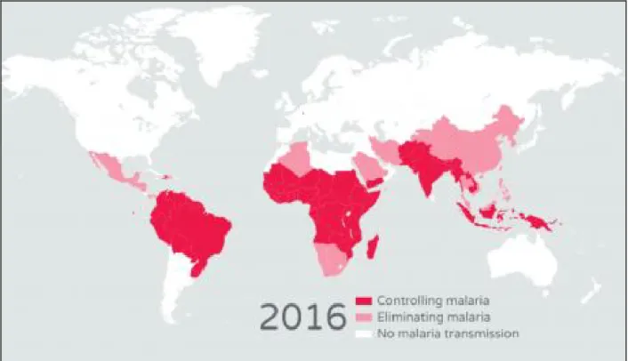 Figure 7: Situation épidémiologique du paludisme dans le monde en 2016. [14] 