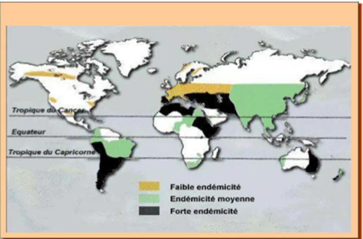 Figure 5 : Répartition du K.H dans le monde selon l’institut de Répartition mondiale de  Parasitologie de l’Université de Zurich [10]