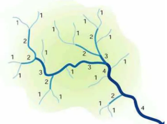 Figure 10 : Ordre des cours d’eau de Stahler (Che, 2005) 