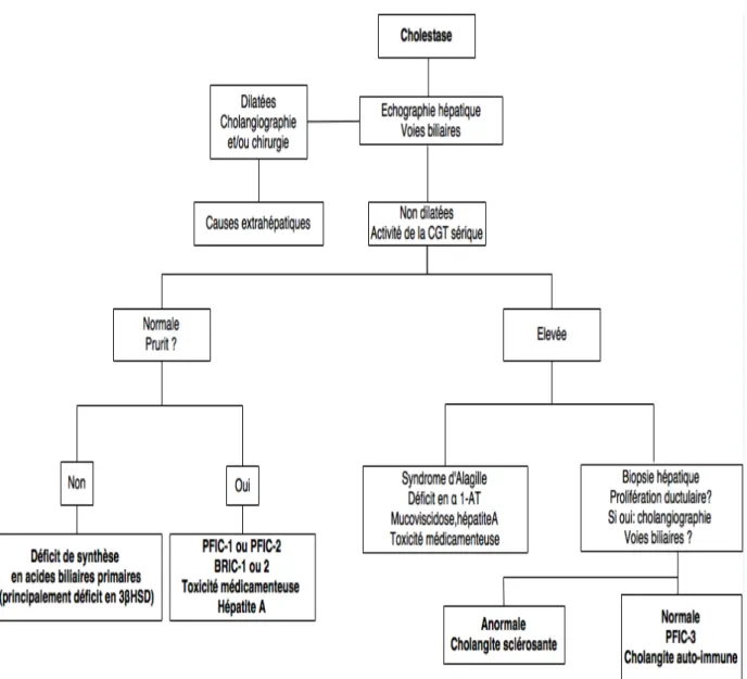Figure 8 : Approche schématique pour le diagnostic des PFIC, excluant la période néonatale,  durant laquelle l’atrésie des voies biliaires est la principale cause de cholestase.3ß-HSD : 