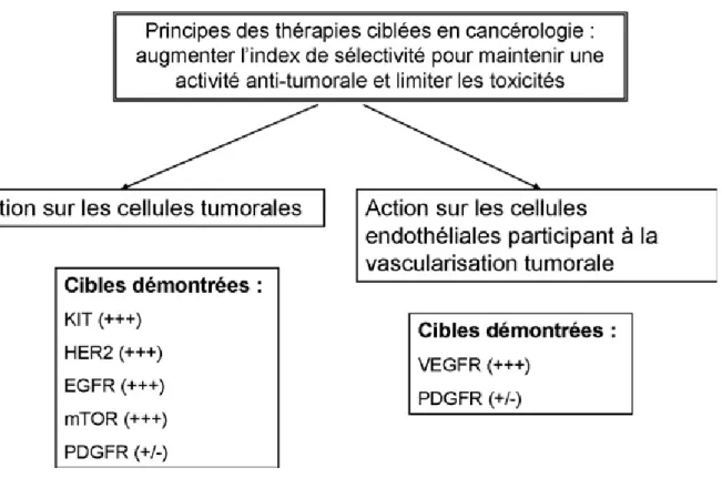 Figure 2: Principaux modes d’action des thérapies ciblées dans les cancers 30  