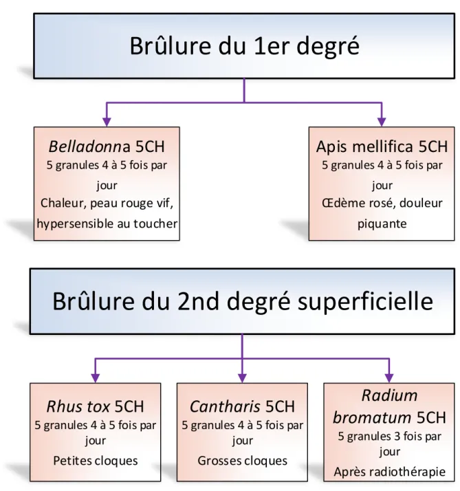 Figure 7 Traitement brûlure 