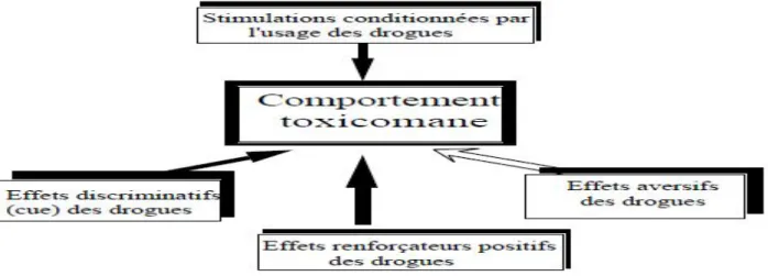 Figure 39 : Modèle psychopharmacologique de la dépendance. Le comportement toxicomane est contrôlé  par quatre fonctions principales communes à plusieurs classes de drogues