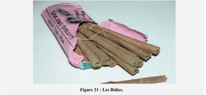 Figure 21 : Les Bidies. 