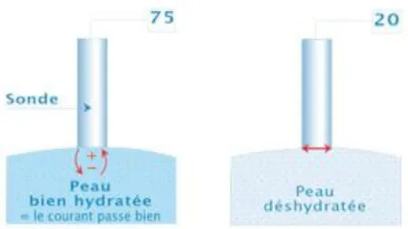 Figure 7 Principe de la mesure de l'hydratation par conductance électrique 
