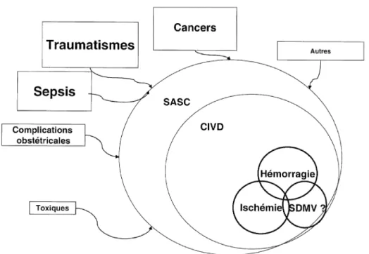Figure 9 : concept de syndrome d’activation systémique de la coagulation (SASC)[14]. 