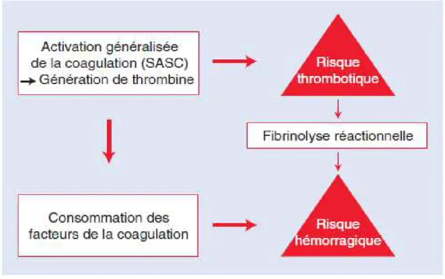 Figure 10 : Coagulation intravasculaire disséminée : approche physiopathologique[24]. 