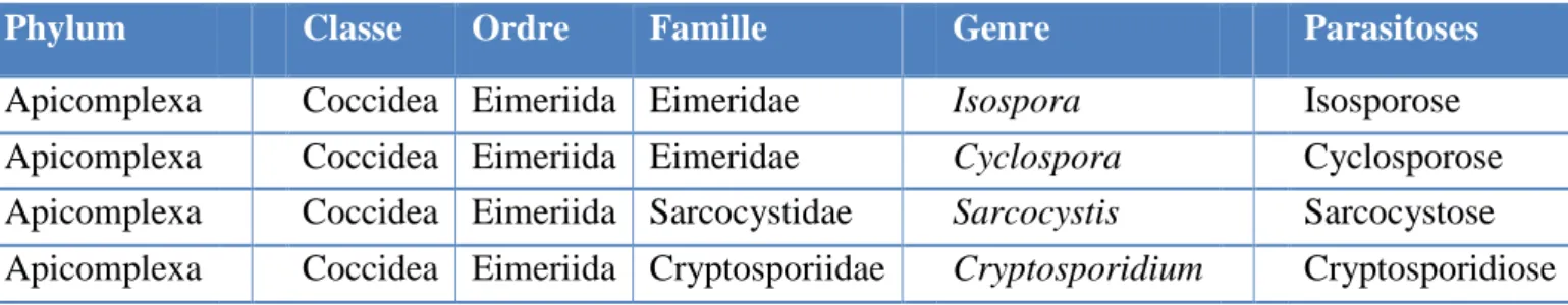 Tableau I : Classification des coccidies pathogènes du tube digestif : [17] 