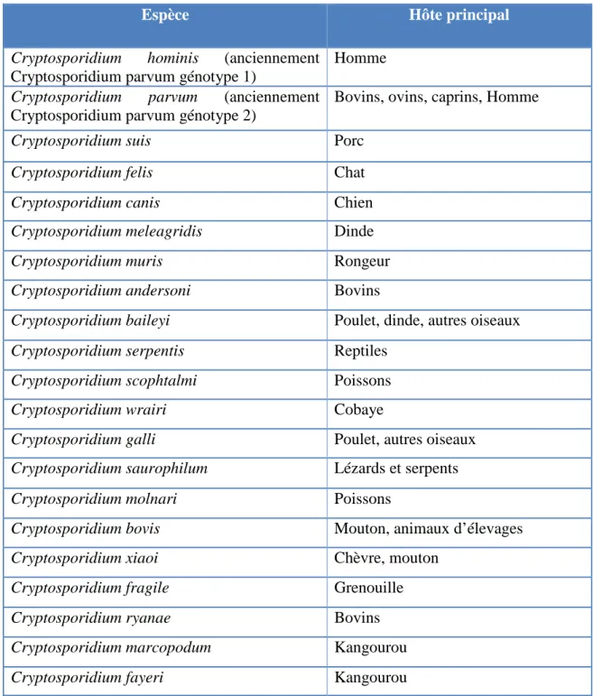 Tableau III : Les différentes espèces du genre Cryptosporidium [71] 