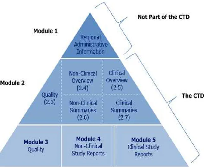 Figure 1 : Représentation d’organisation de CTD 