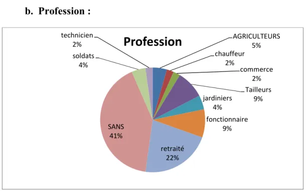 Figure 3 : Les différents types de profession chez nos patients 