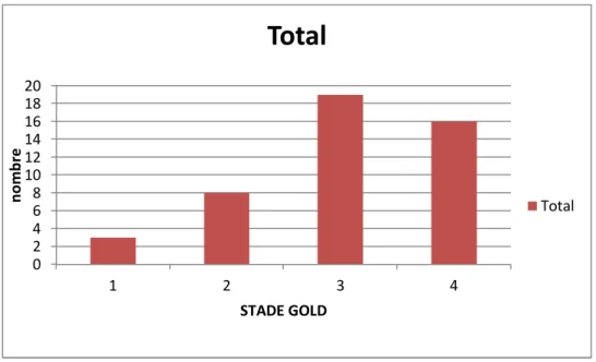 Figure 6 : Répartition des patients selon le stade GOLD 