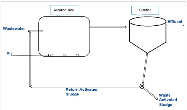 Figure 6 shows a schematic of a Conventional Activated Sludge (CAS) process with an  aeration tank followed by a clarifier