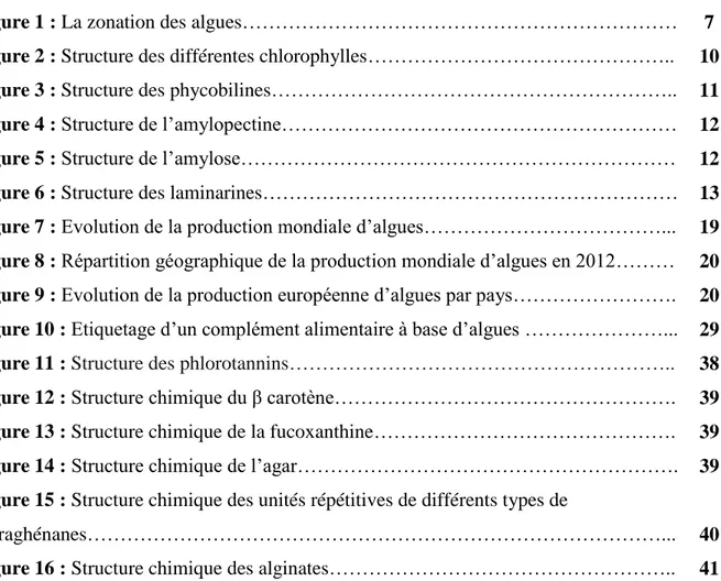 Figure 1 : La zonation des algues…………………………………………………………   7  Figure 2 : Structure des différentes chlorophylles……………………………………….