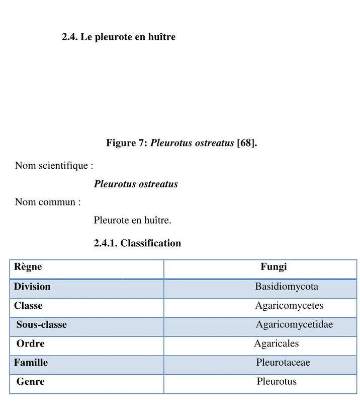 Figure 7: Pleurotus ostreatus [68]. 