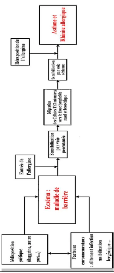 Fig. 3. Figure 2 d’après Burgess et al. [6] (modifié). 