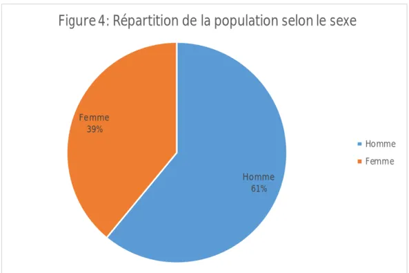 Figure 4: Répartition de la population selon le sexe 
