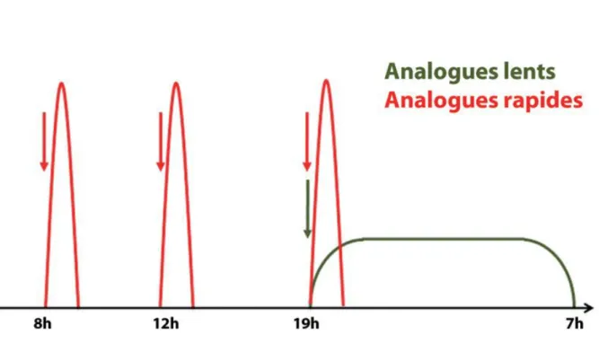 Figure 10  : Schéma insulinique à trois injections [18]. 